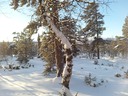 20130103_131417