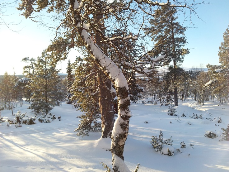20130103_131417
