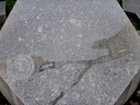 PICT0150.JPG